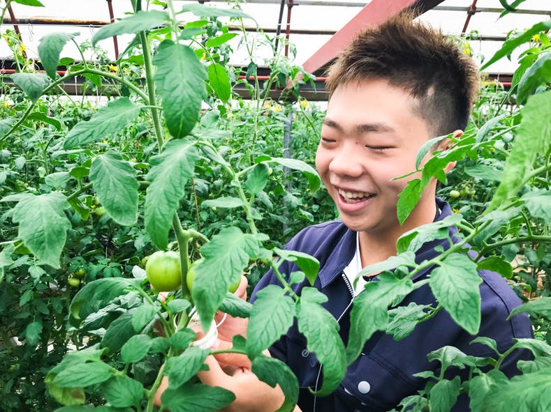 1番目のメイン画像