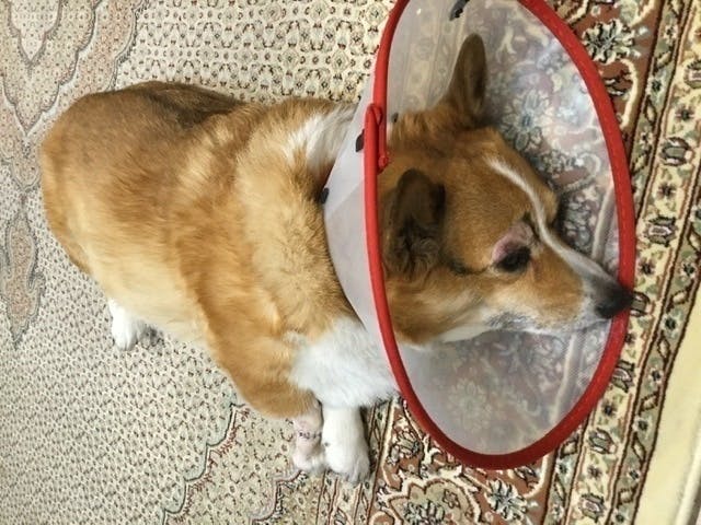 3番目のメイン画像