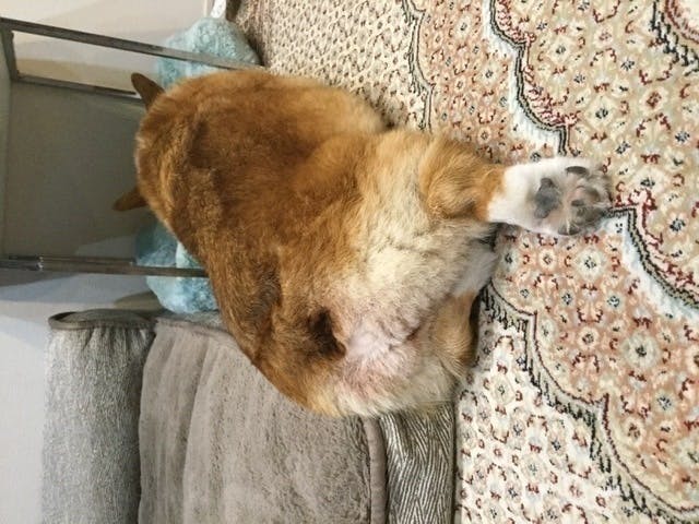 5番目のメイン画像