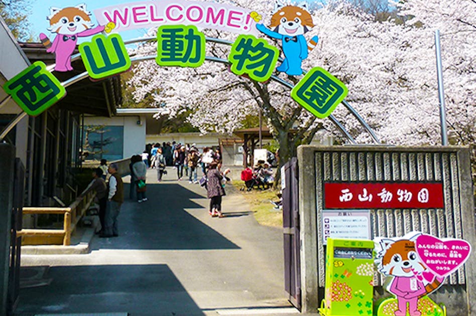 日本一小さい西山動物園！みんなに愛される動物園を守っていきたい！！ - CAMPFIRE (キャンプファイヤー)