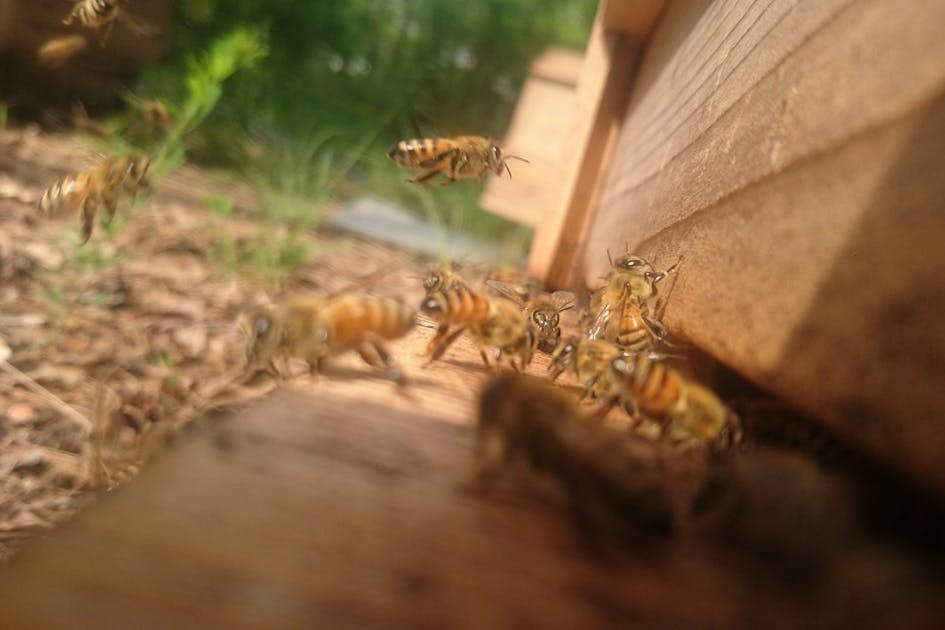 07f9dc77-6ab5-47b0-b44e-