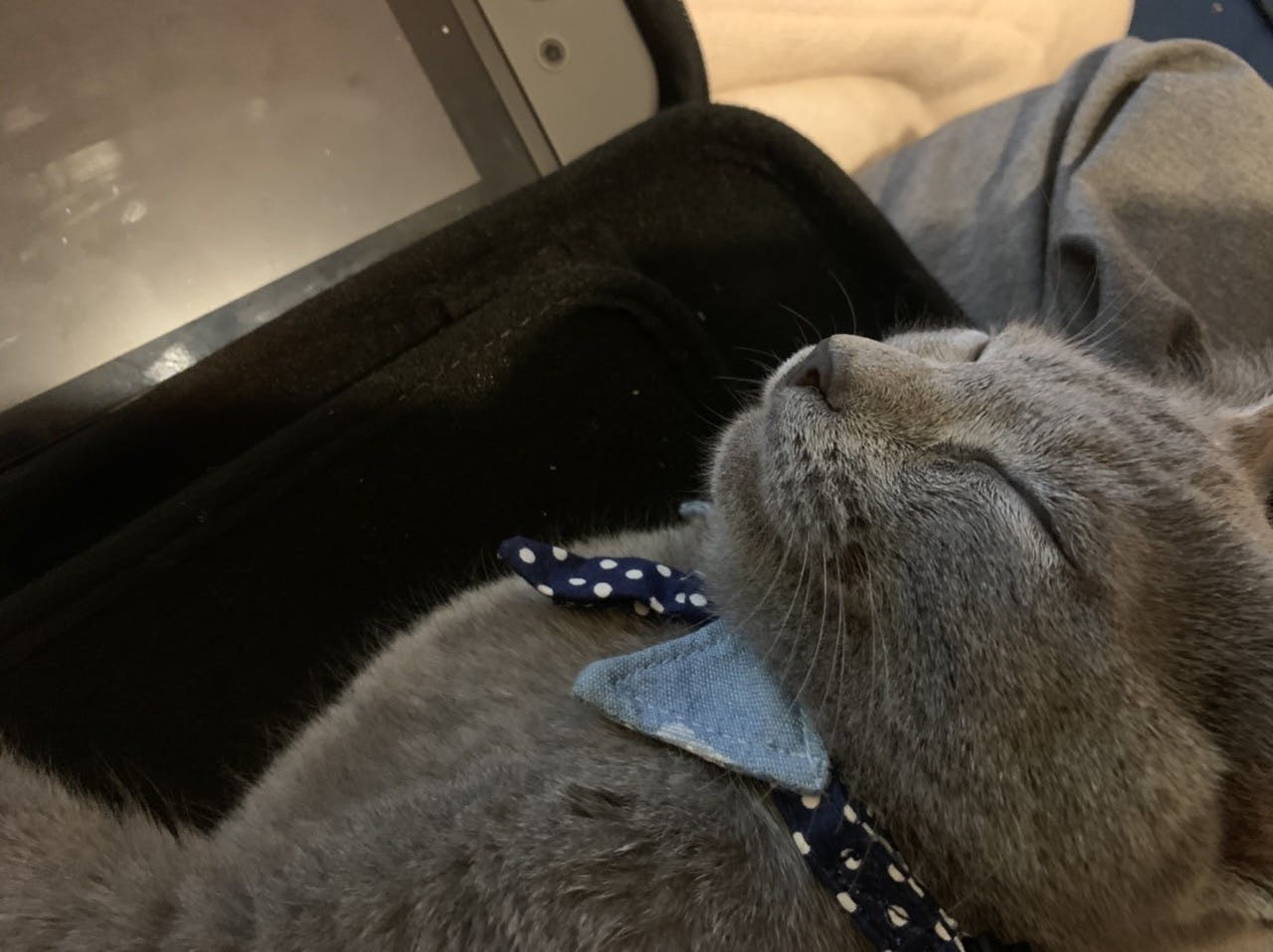 5番目のメイン画像