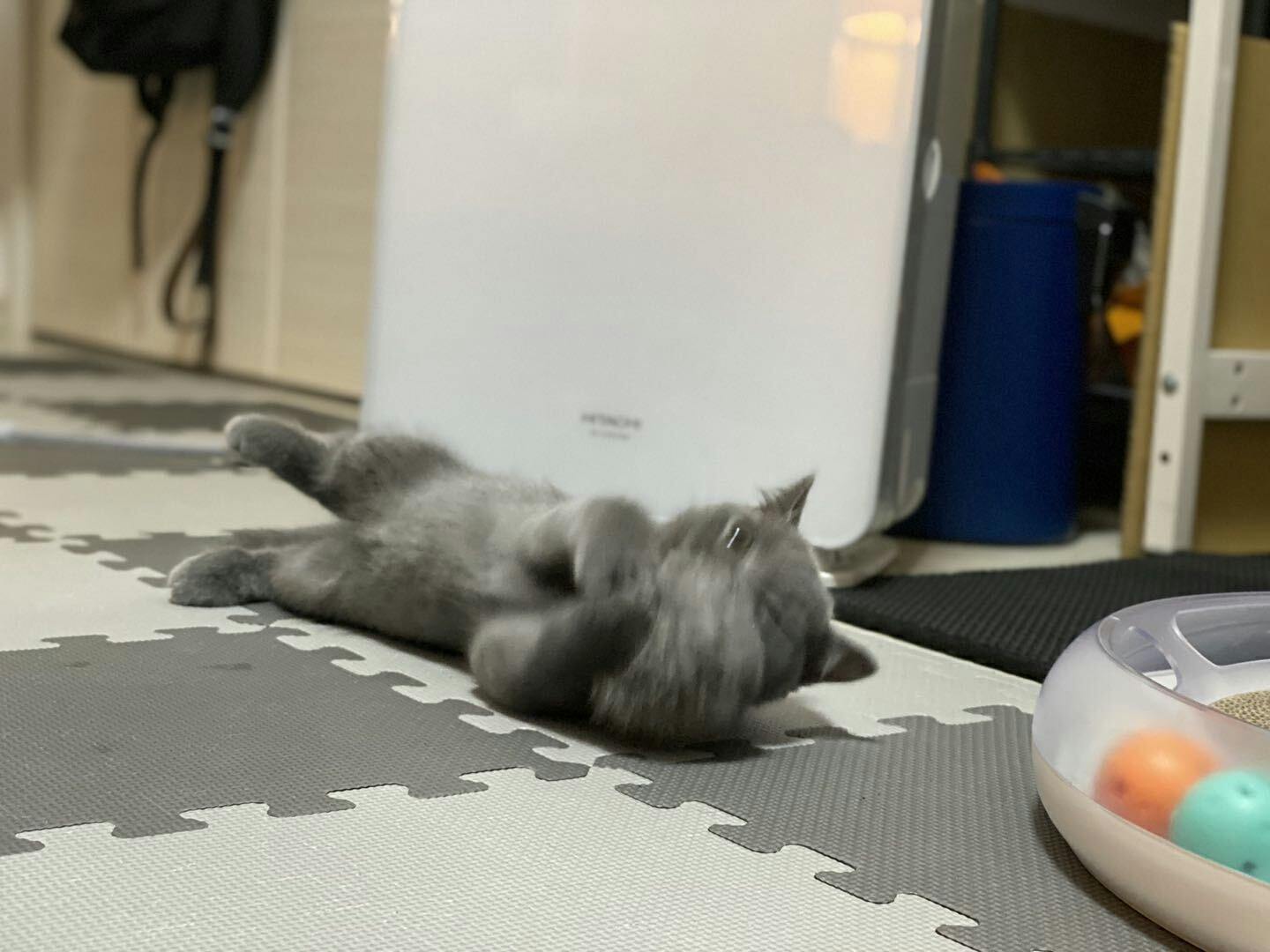 4番目のメイン画像