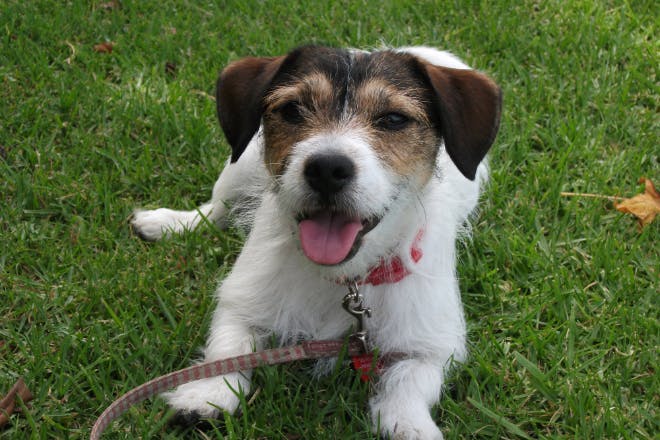 1番目のメイン画像