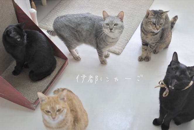 3番目のメイン画像