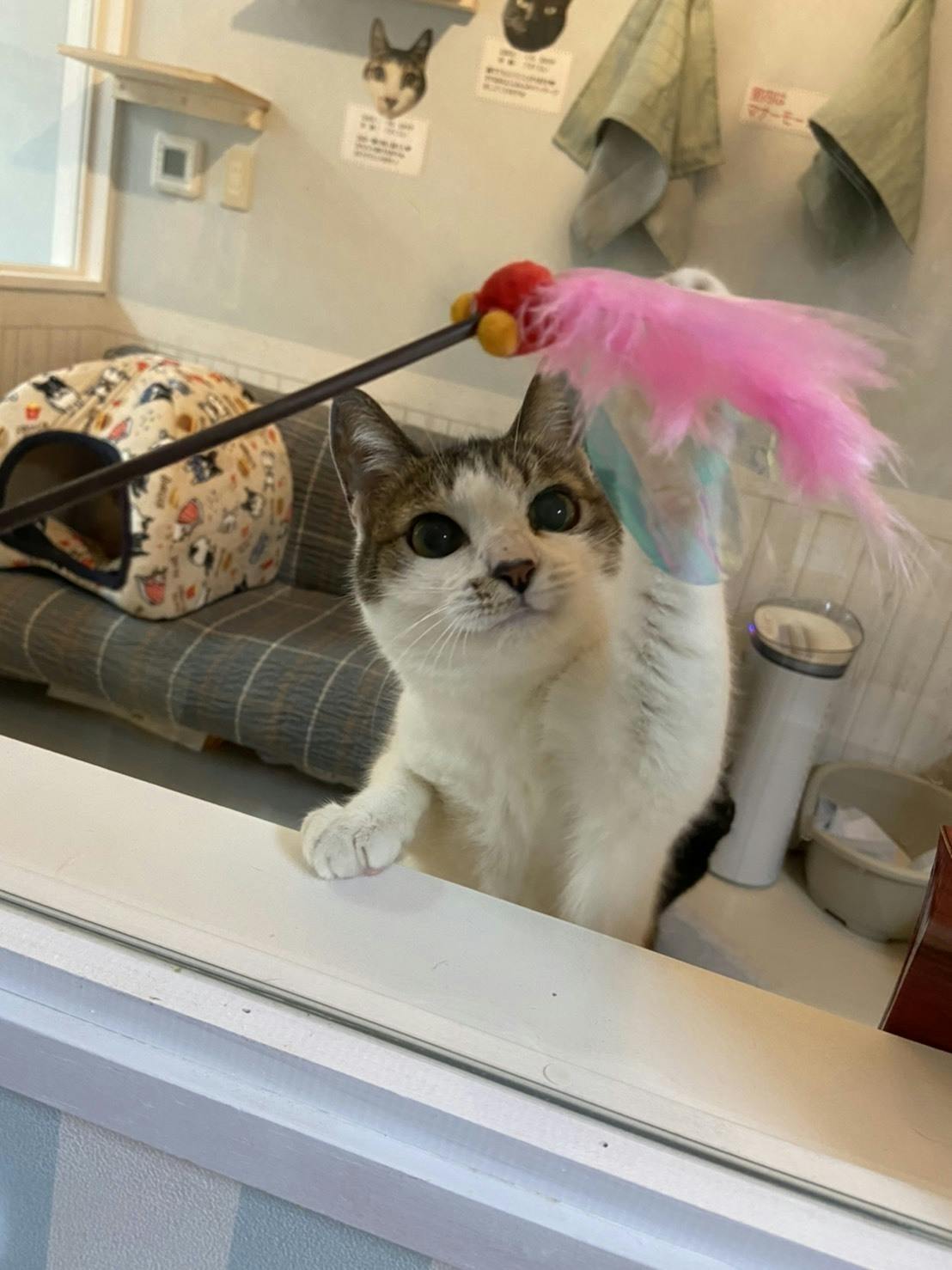 2番目のメイン画像