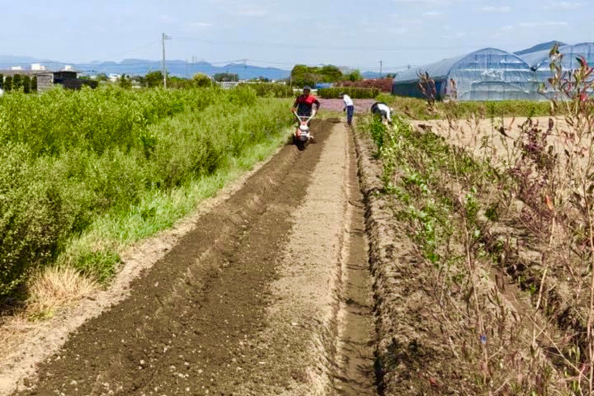 1番目のメイン画像