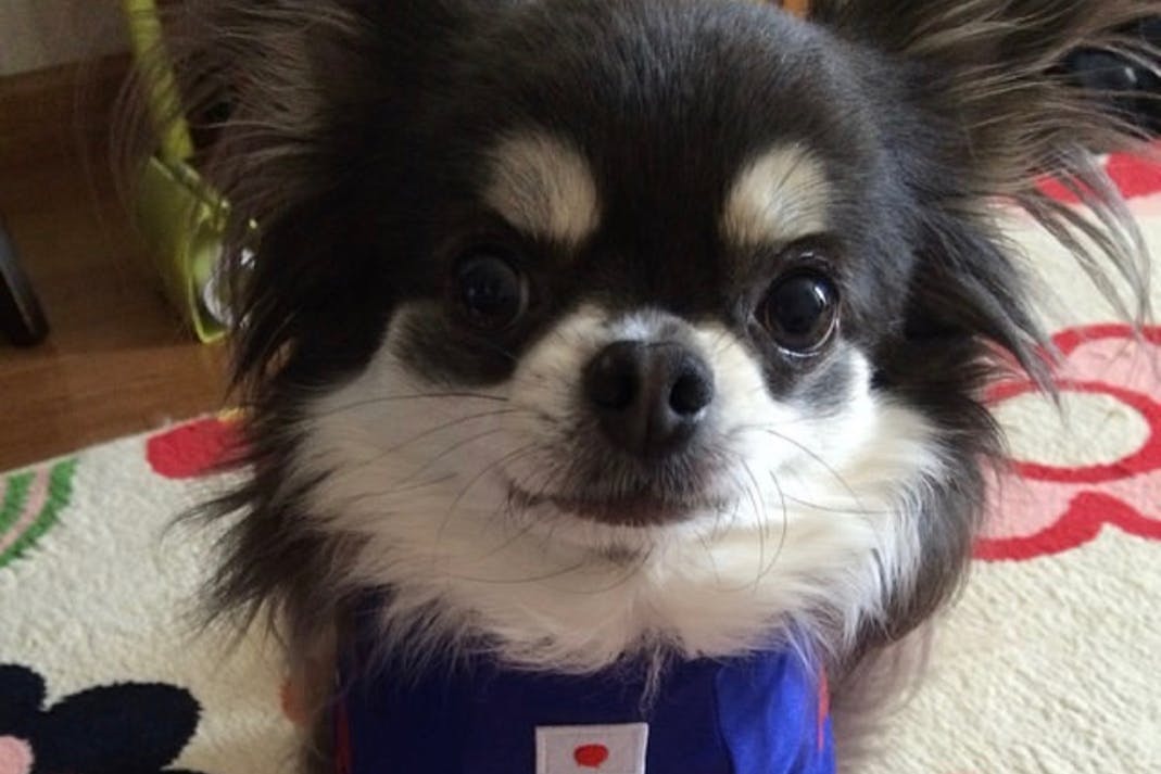 1番目のメイン画像