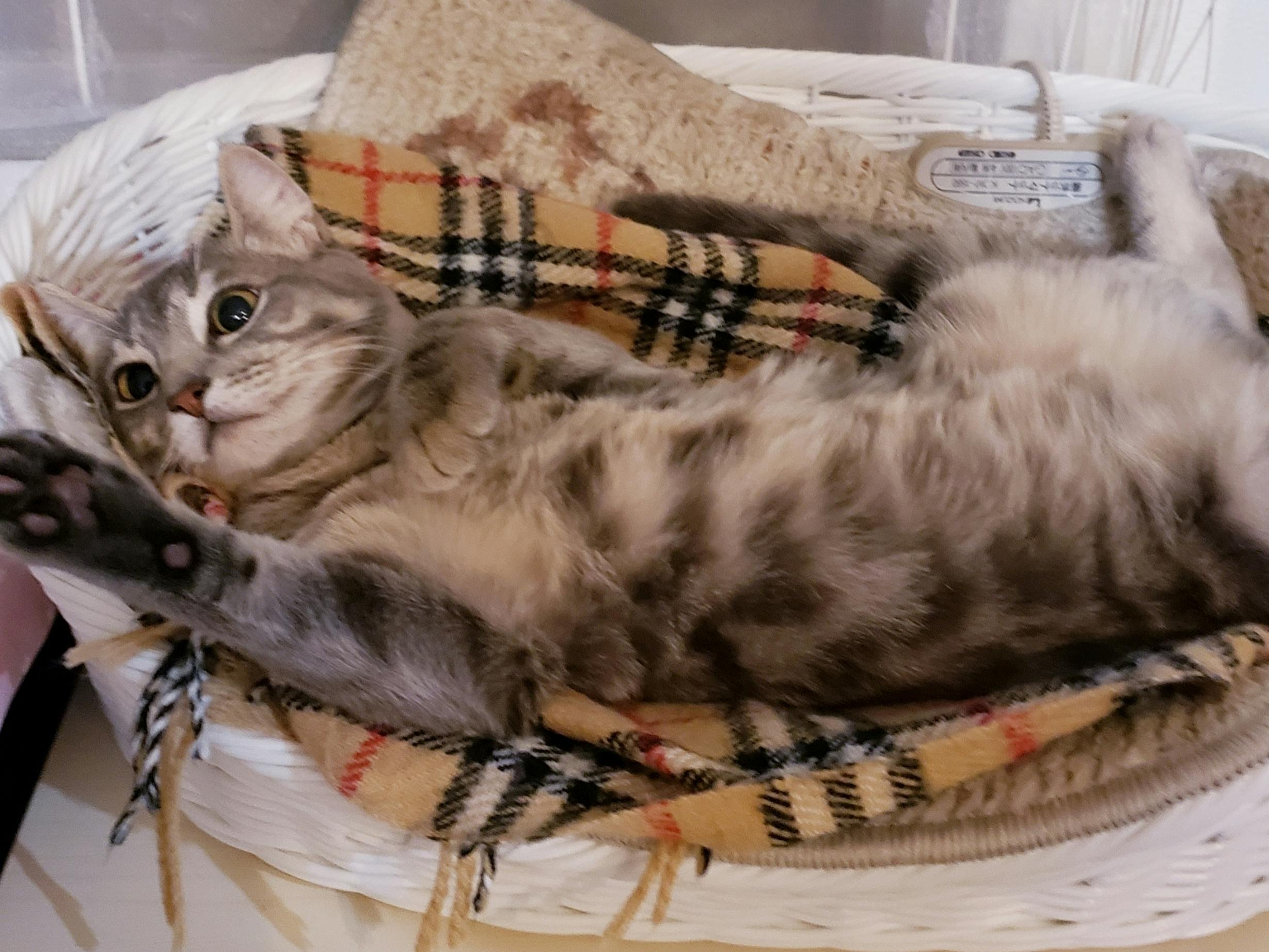 5番目のメイン画像