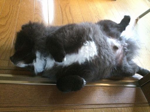 4番目のメイン画像