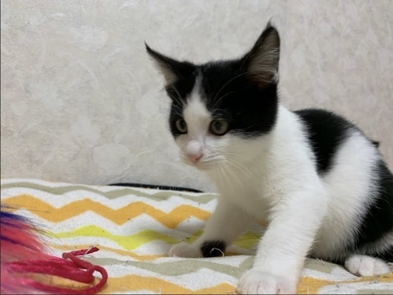 3番目のメイン画像