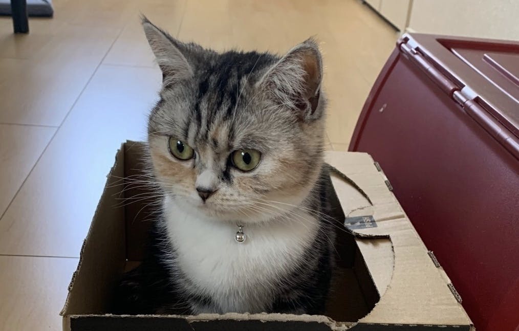 2番目のメイン画像