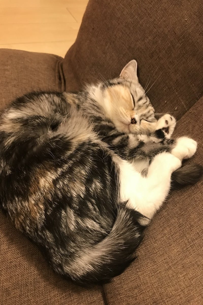 5番目のメイン画像