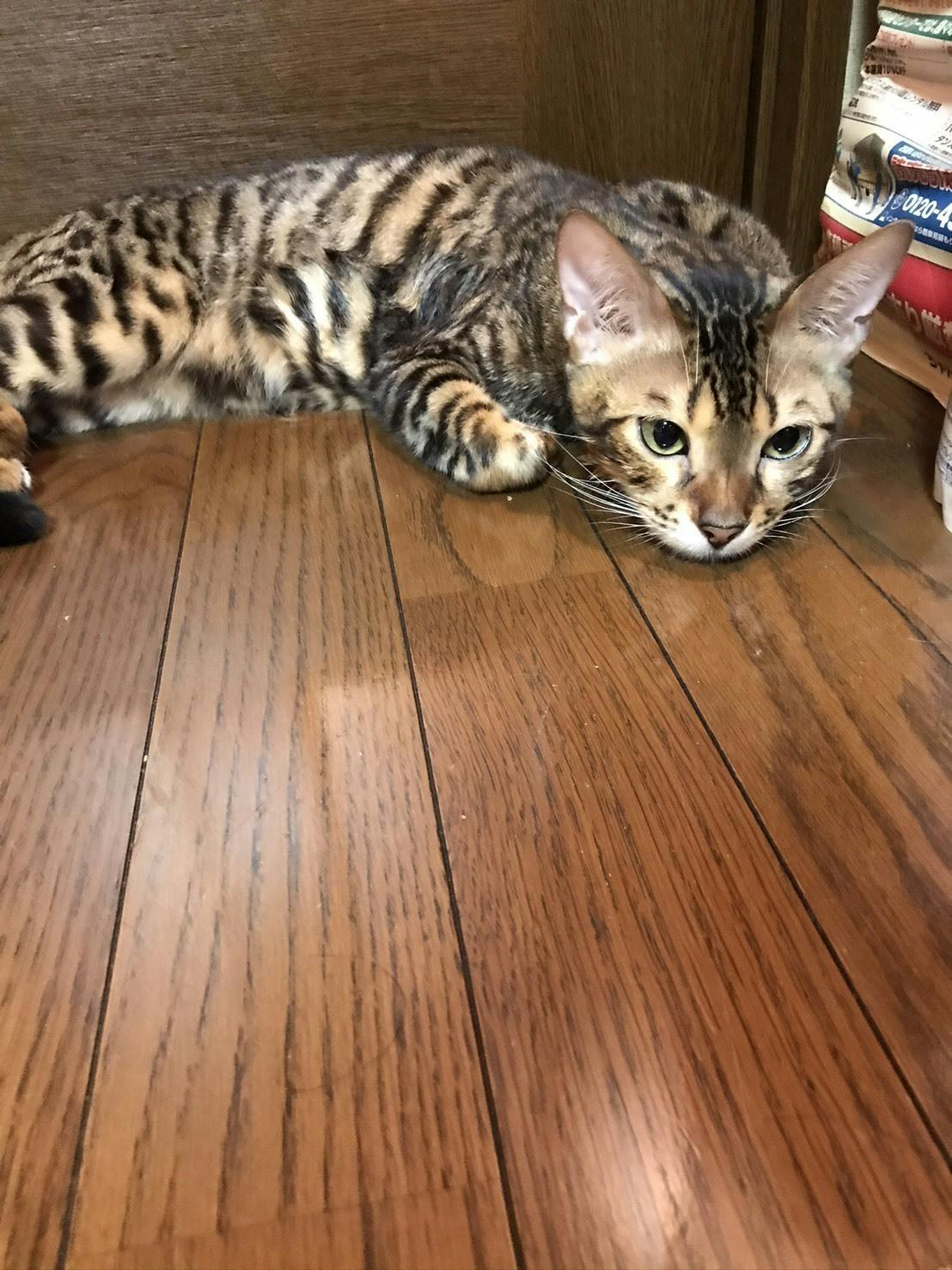 5番目のメイン画像