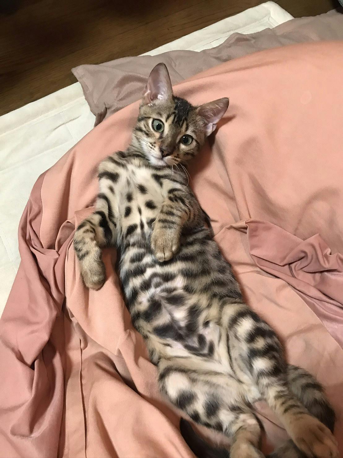 4番目のメイン画像