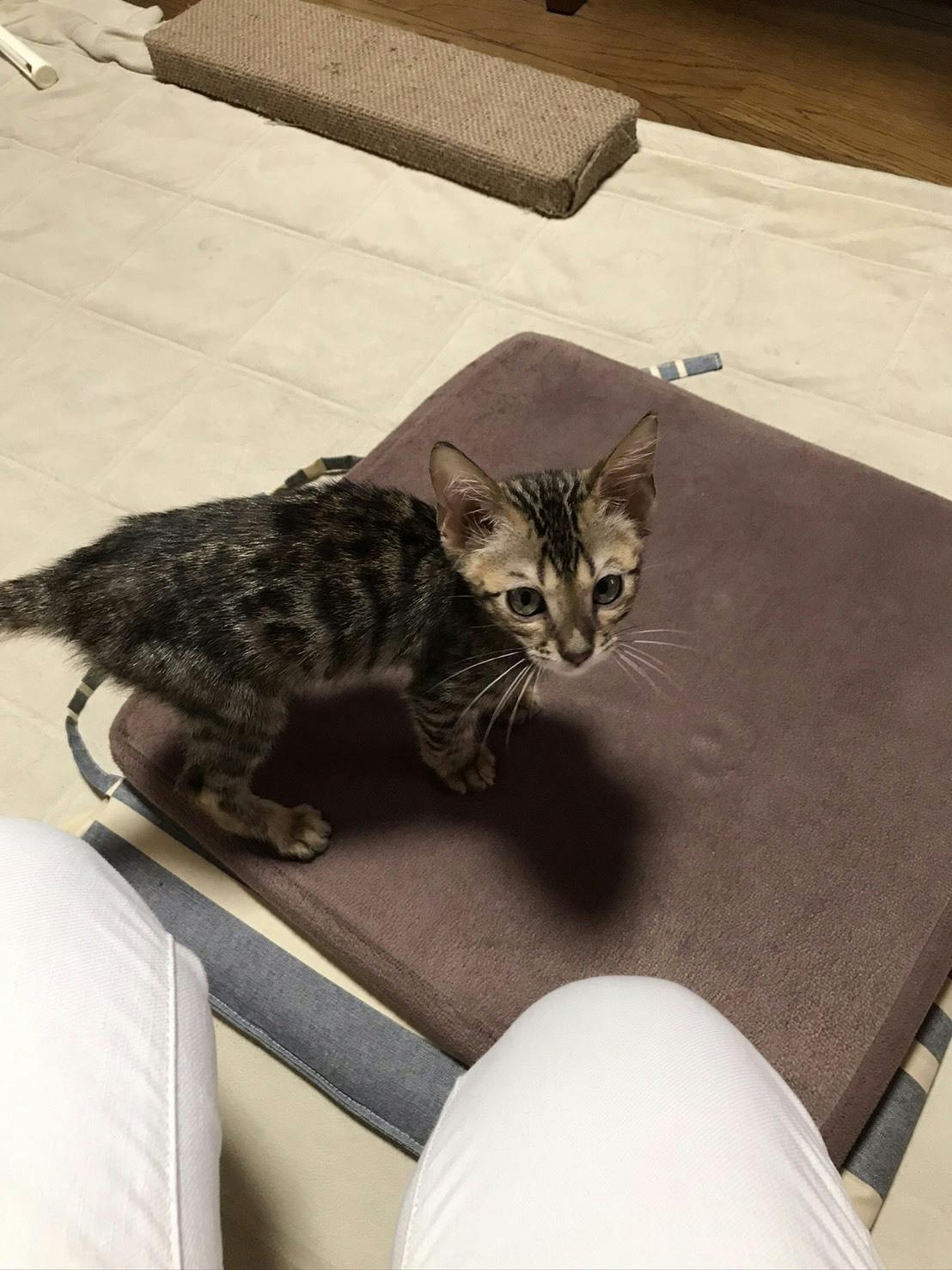 3番目のメイン画像