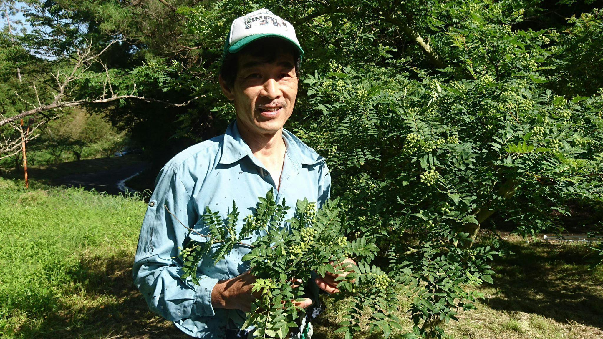 4番目のメイン画像