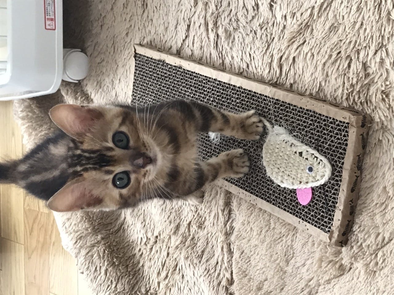 3番目のメイン画像