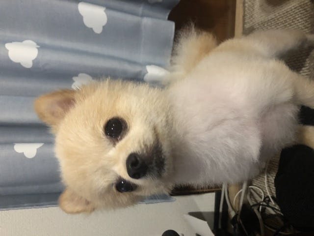 2番目のメイン画像