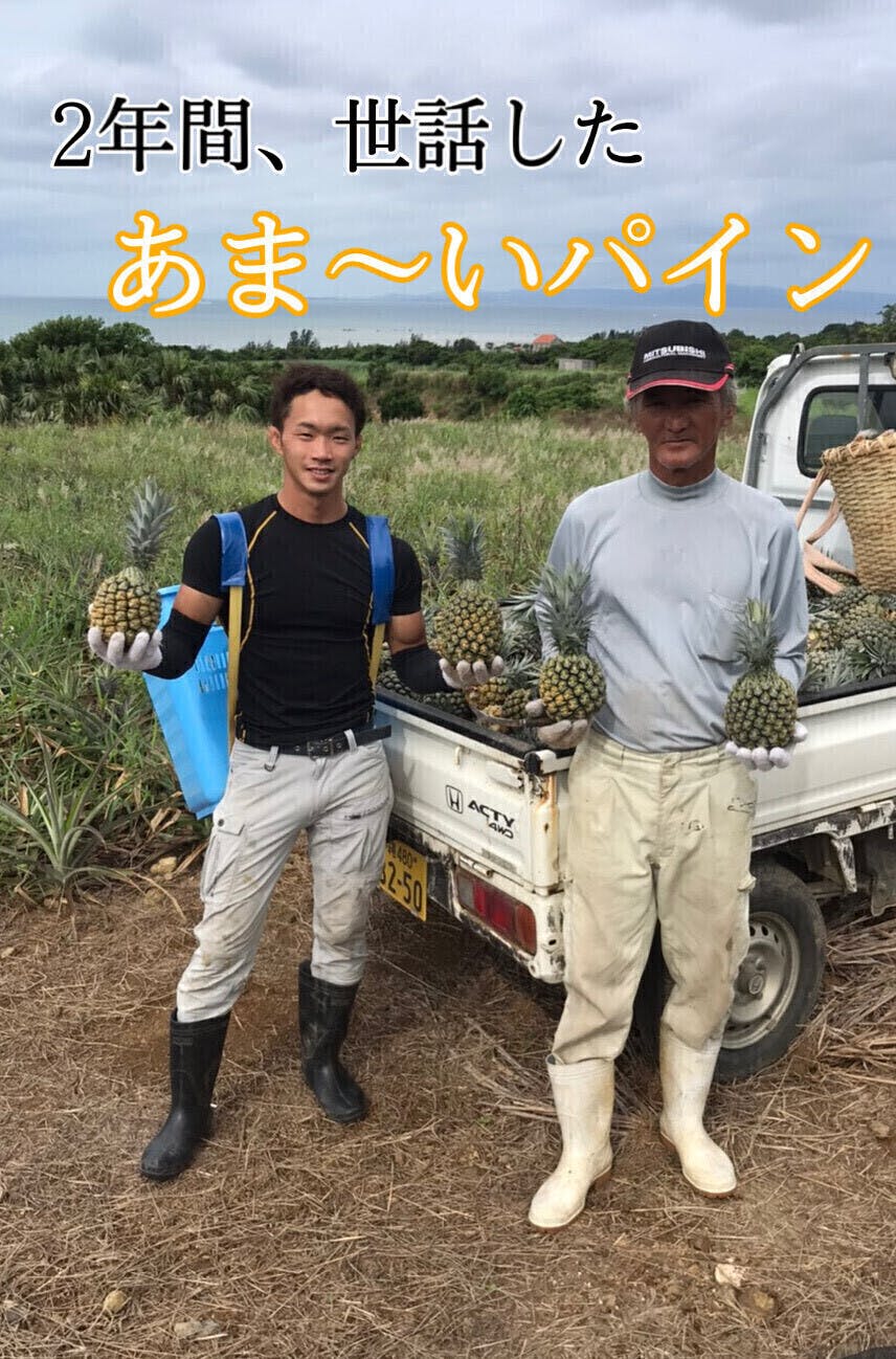 3番目のメイン画像