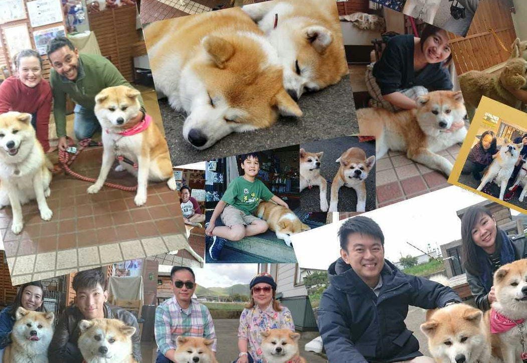 3番目のメイン画像