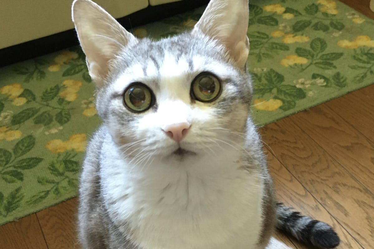 1番目のメイン画像