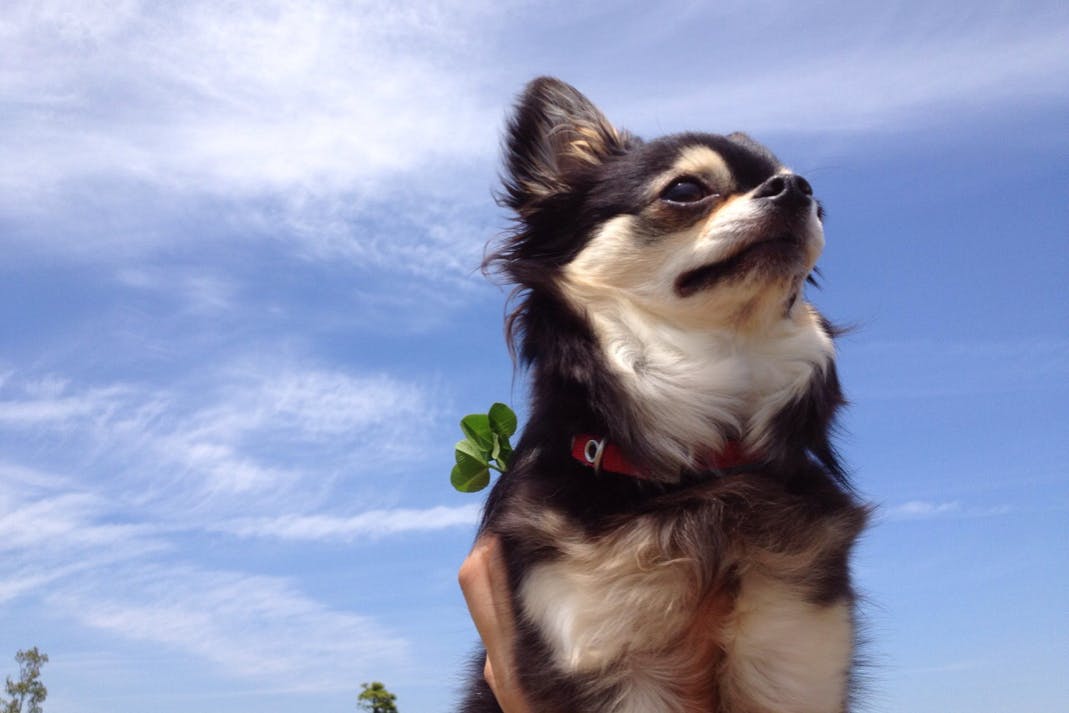 1番目のメイン画像