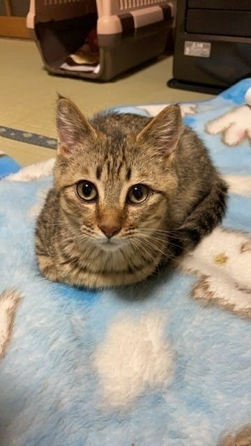 2番目のメイン画像