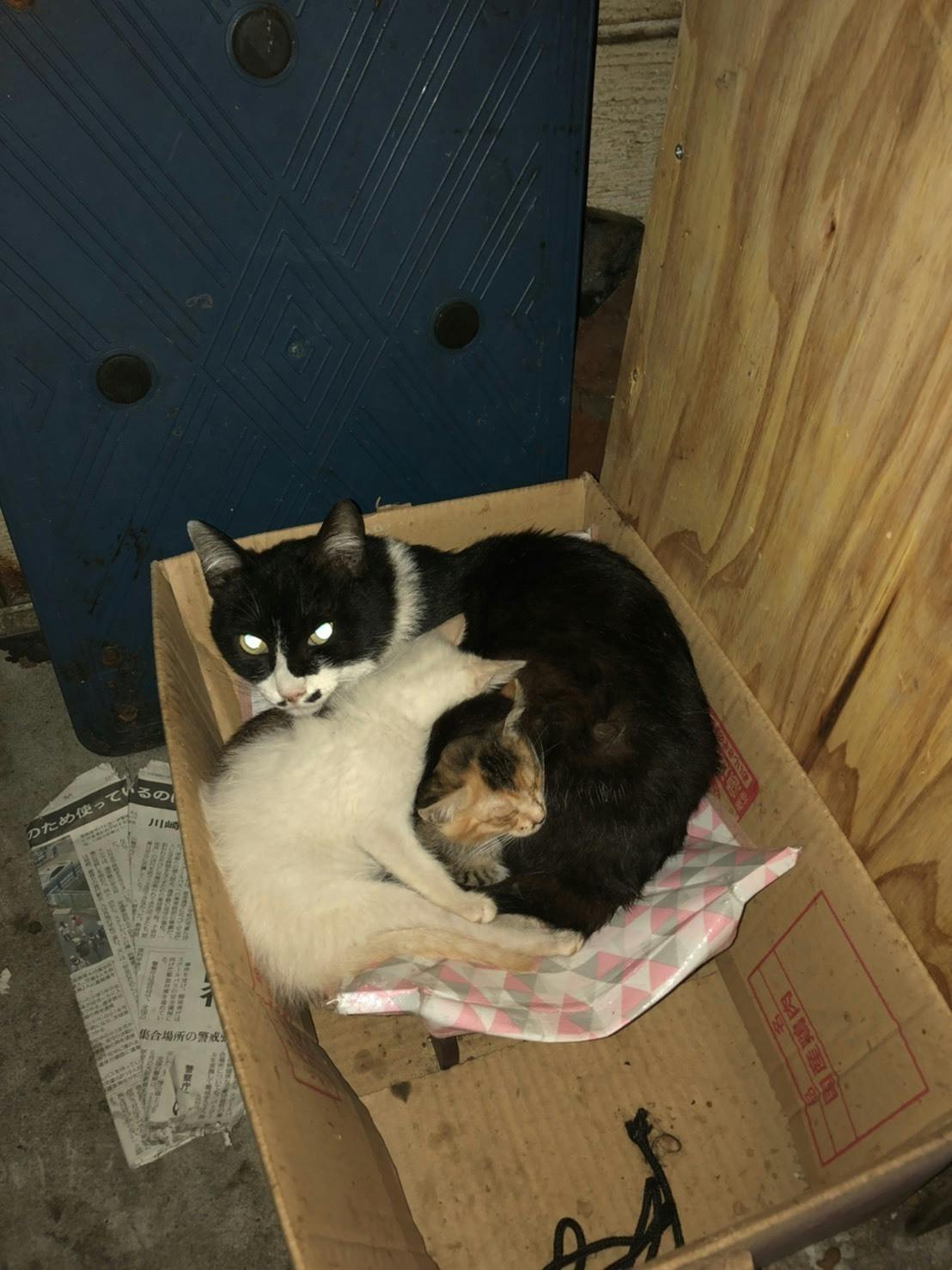 3番目のメイン画像