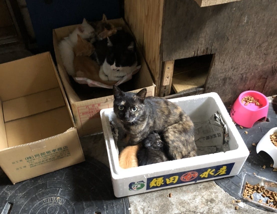 4番目のメイン画像