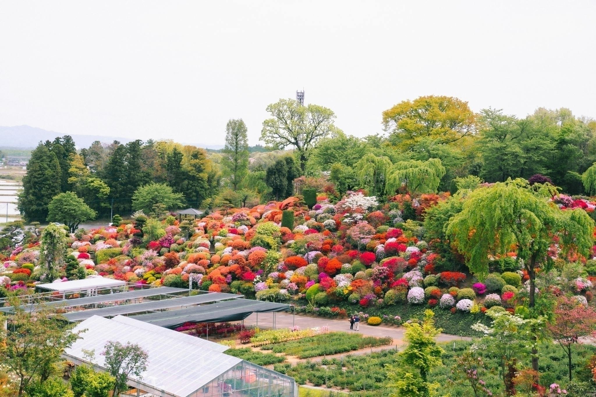 4番目のメイン画像