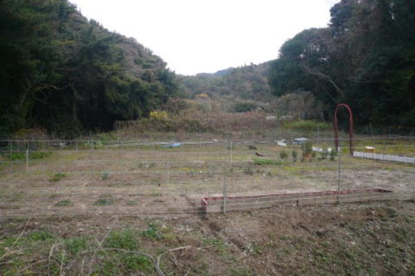 1番目のメイン画像