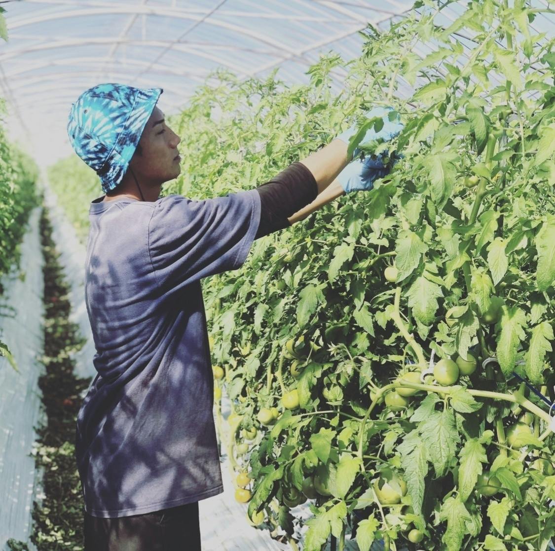 5番目のメイン画像