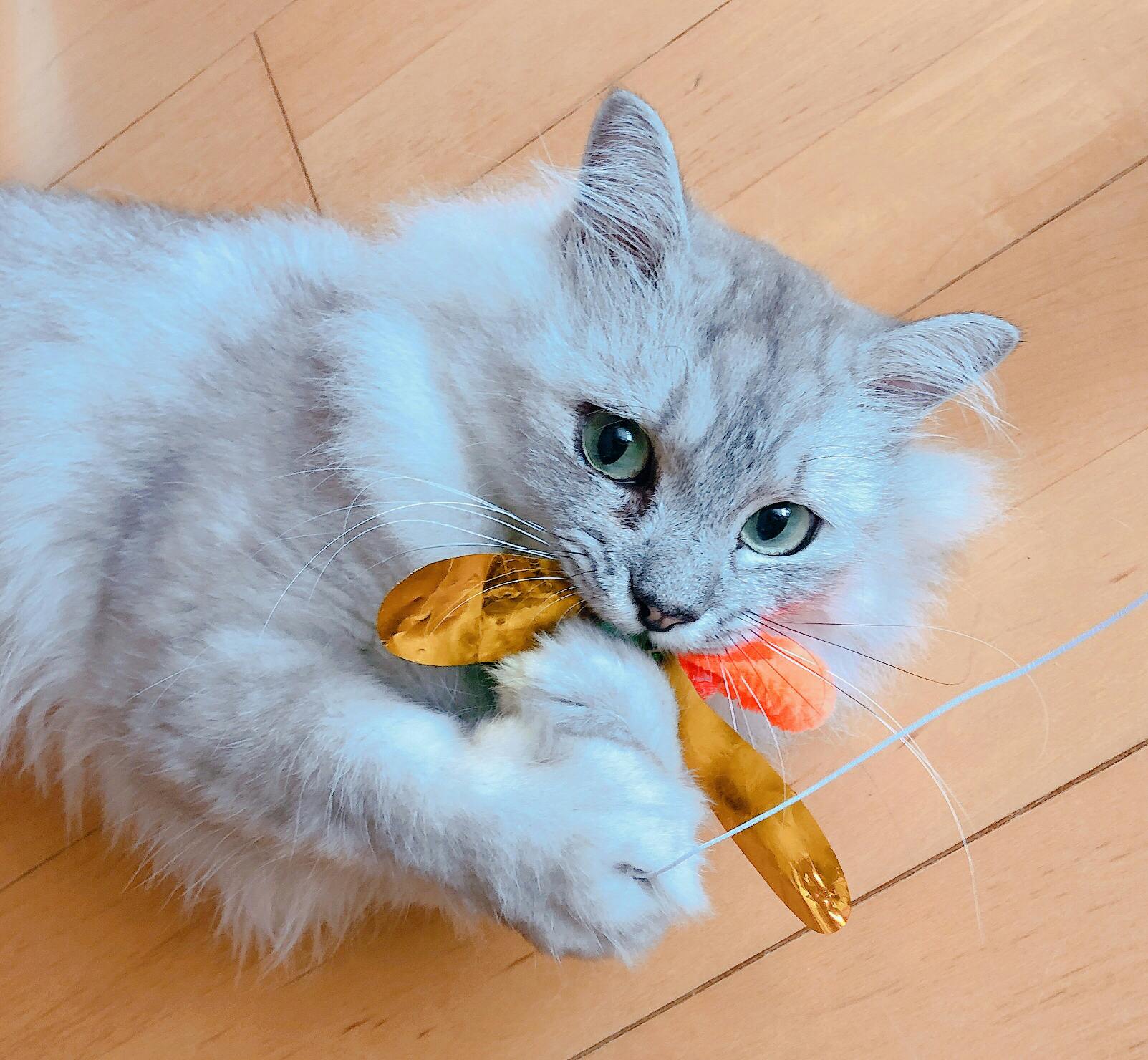 3番目のメイン画像