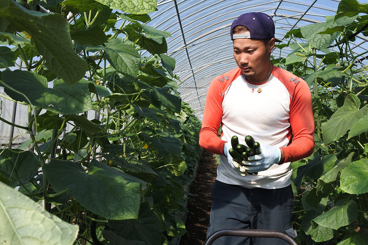 3番目のメイン画像