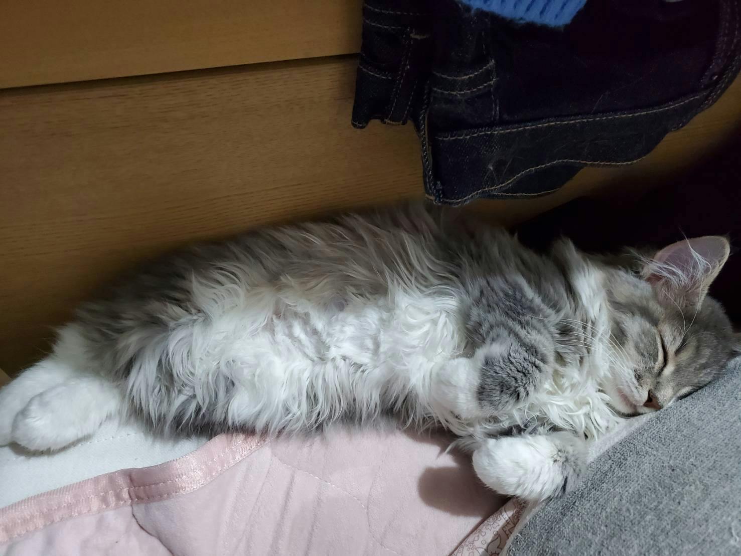 3番目のメイン画像