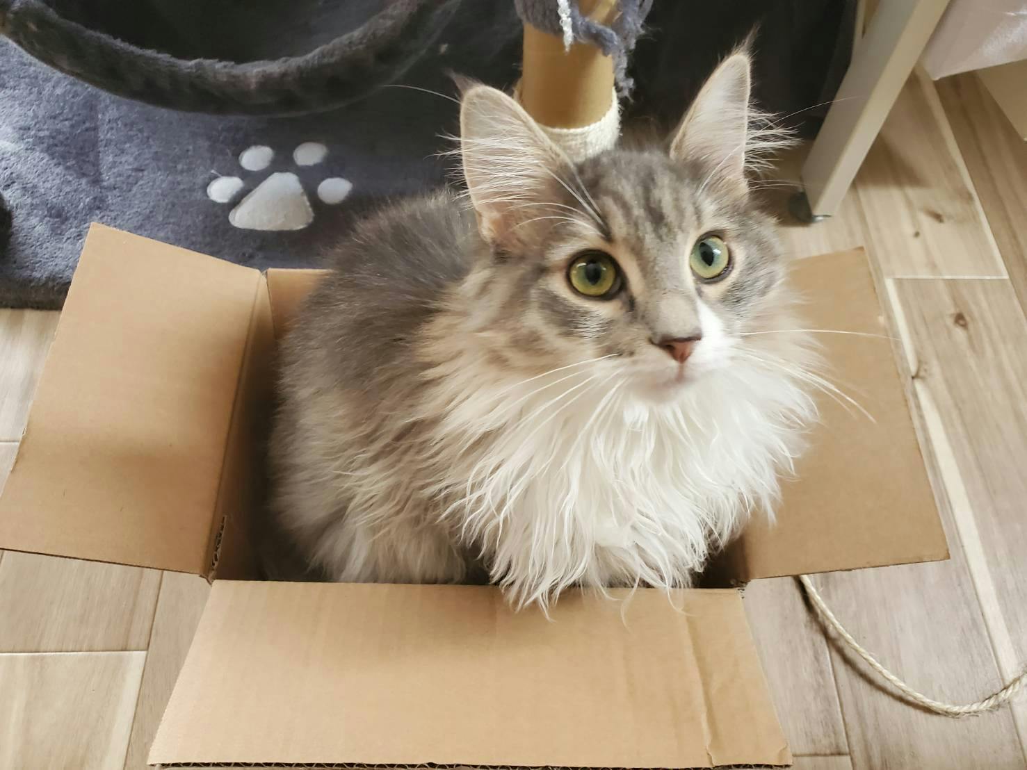 5番目のメイン画像