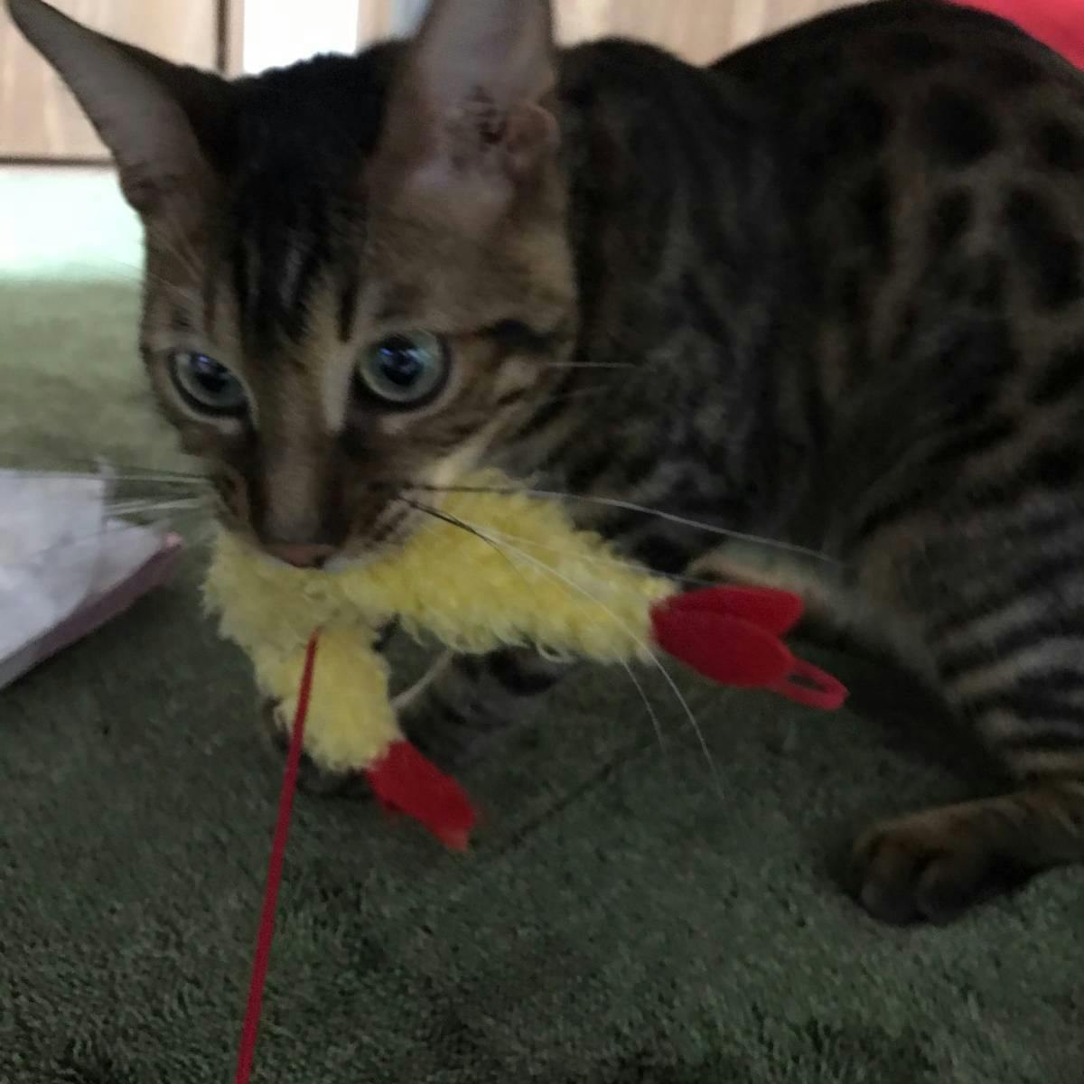 2番目のメイン画像