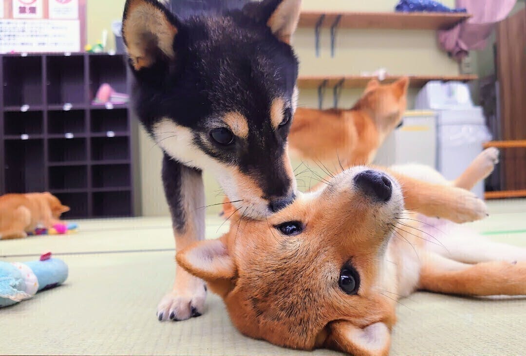 4番目のメイン画像