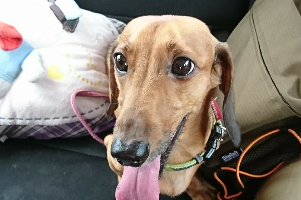 1番目のメイン画像