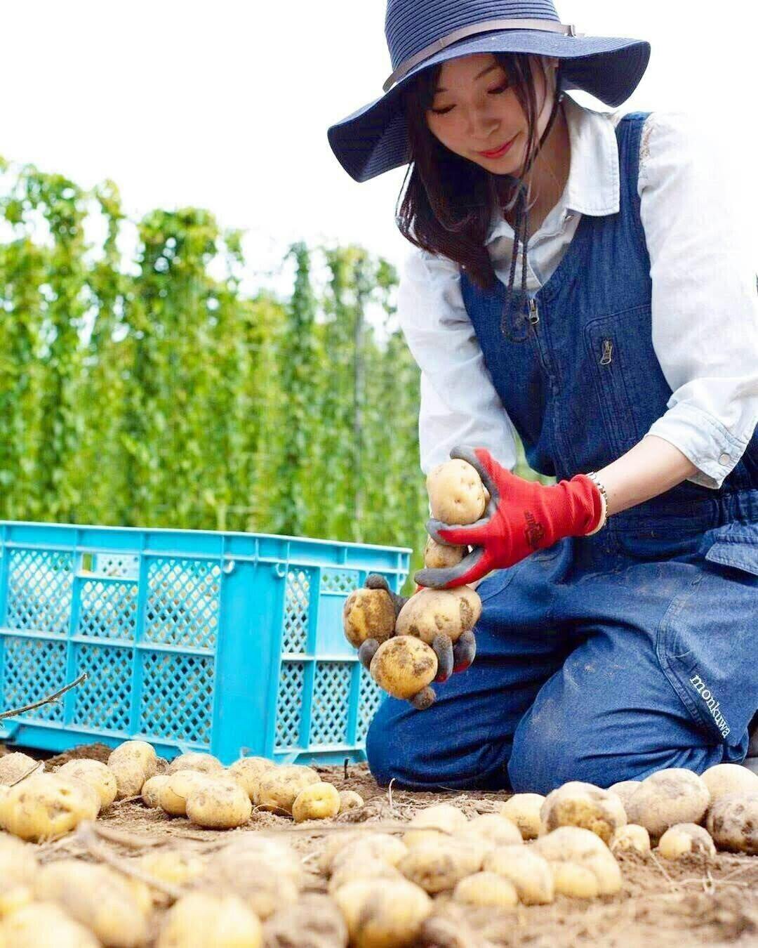 4番目のメイン画像