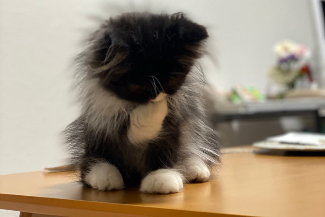 1番目のメイン画像