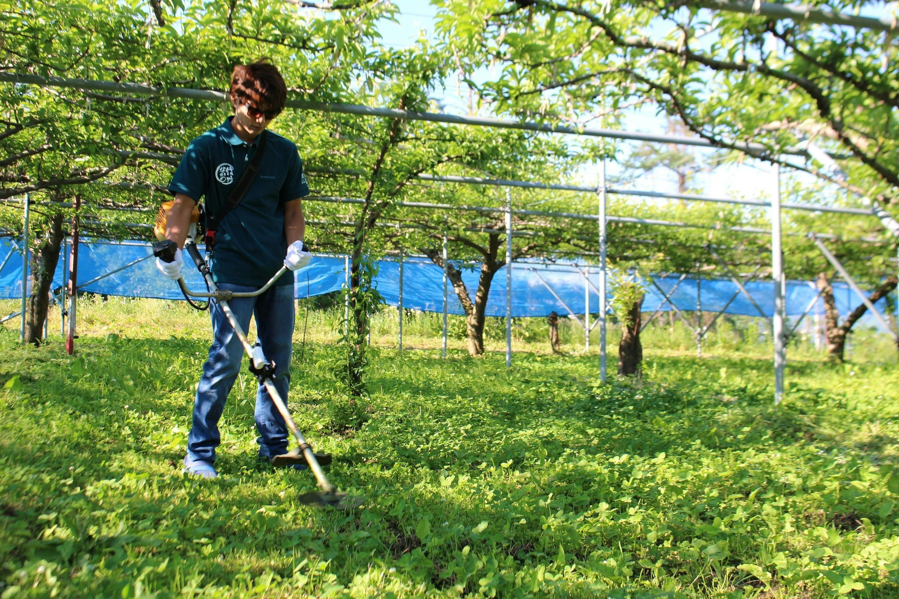 3番目のメイン画像