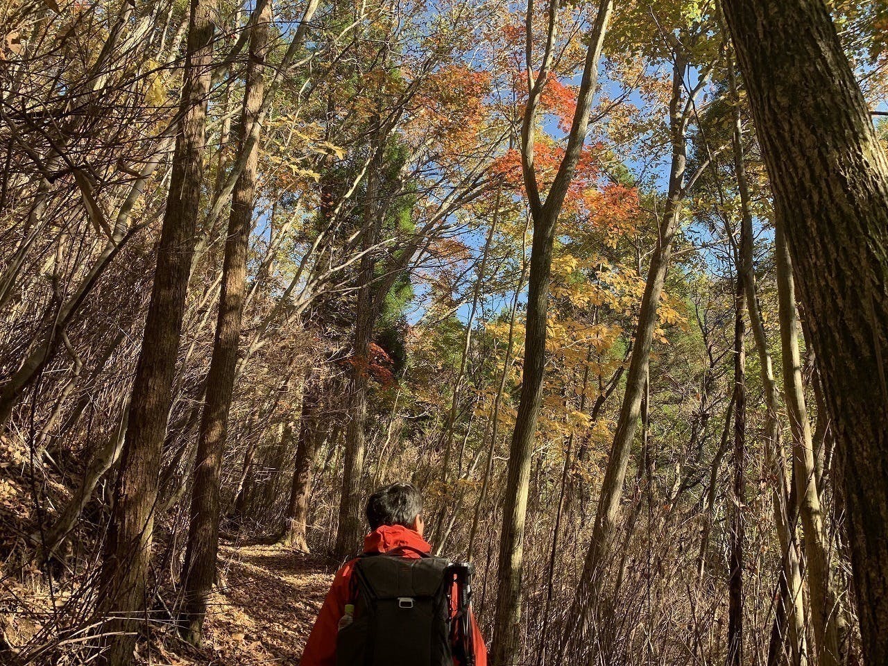 4番目のメイン画像