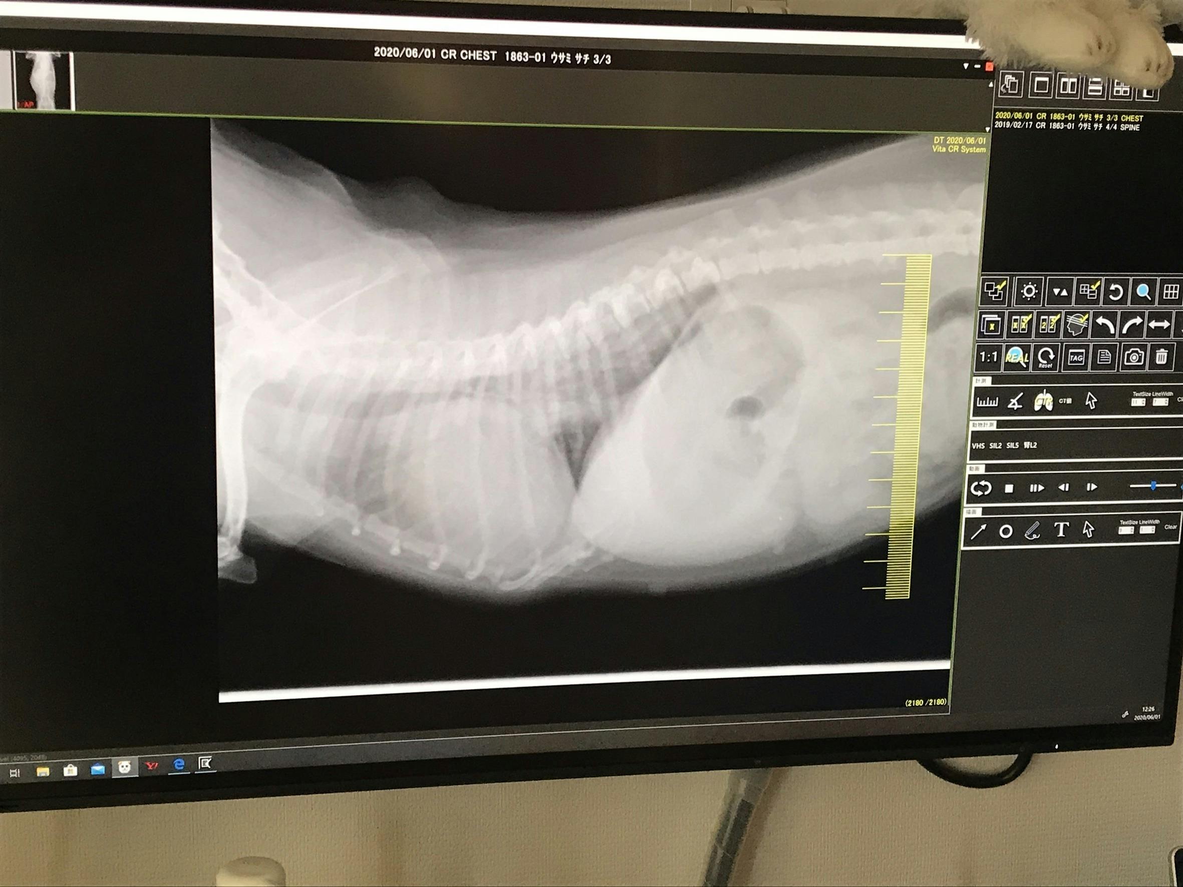 4番目のメイン画像