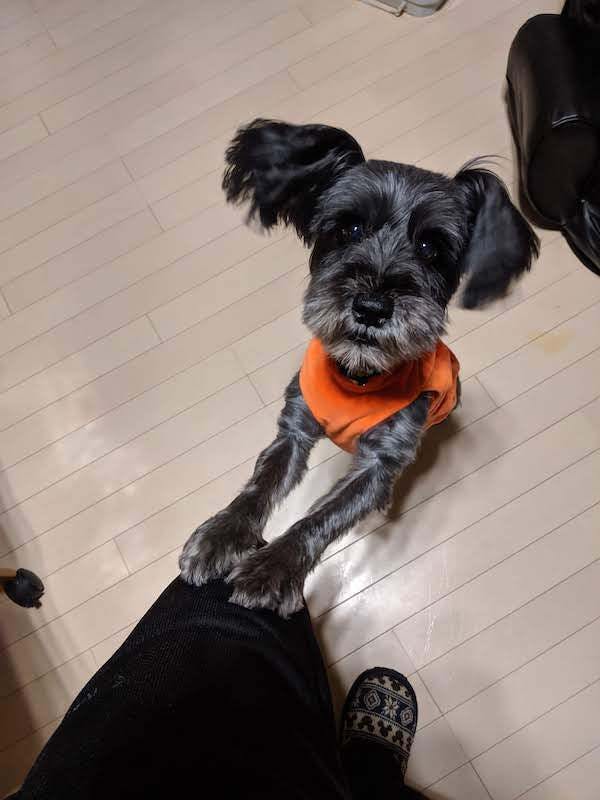 5番目のメイン画像