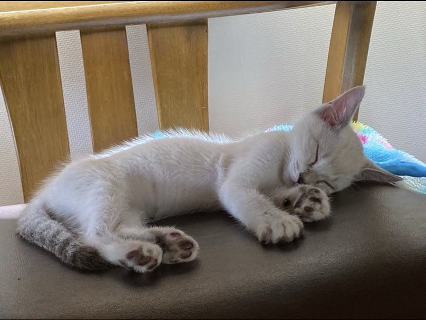 3番目のメイン画像