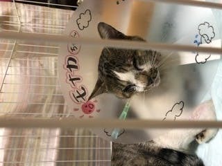 3番目のメイン画像