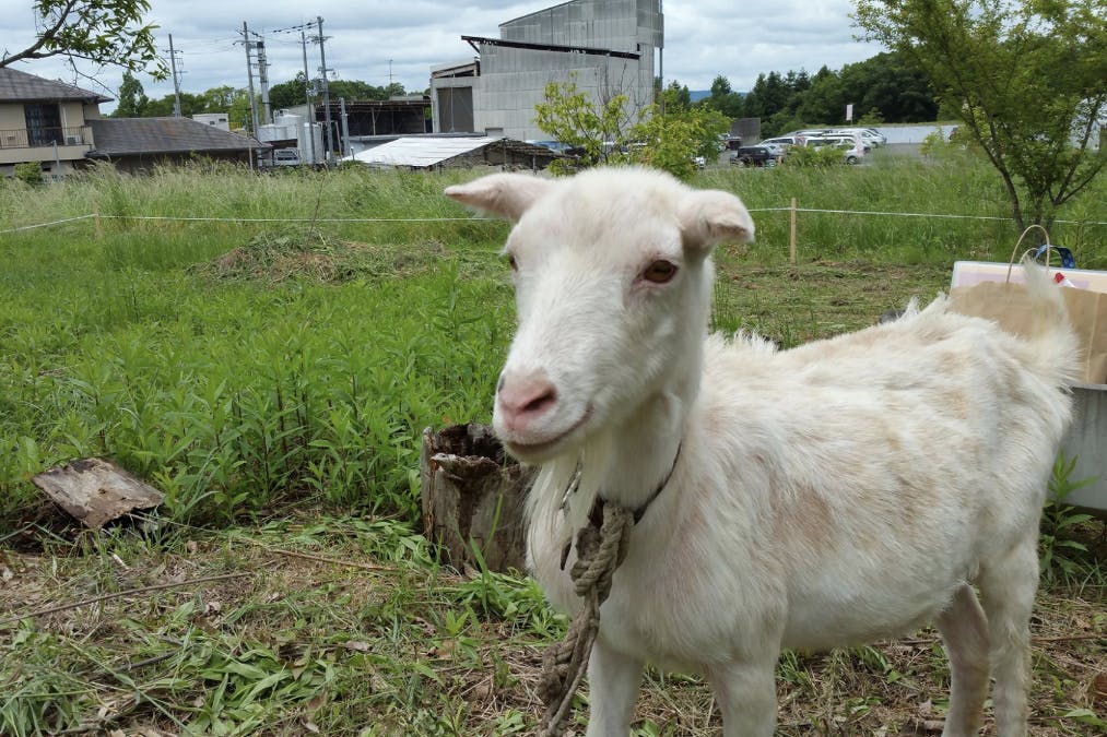 1番目のメイン画像