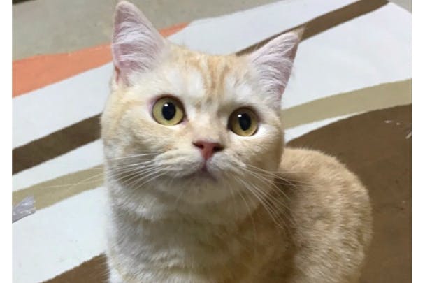 1番目のメイン画像